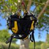 Petzl Sequoia